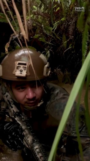 How US Marines Master the Jungle: Okinawa's Toughest Training