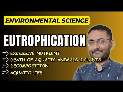Eutrophication | Environmental science | Aquatic life in danger | EVS | Ecology