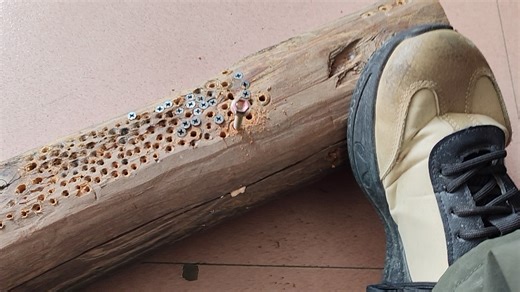 【好男人888】新作上线，快来看看！