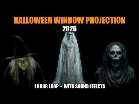 Halloween Window Projection 2026 | 1 Hour Loop with Sound Effects | Ghosts, Witch, Zombie, Skeleton