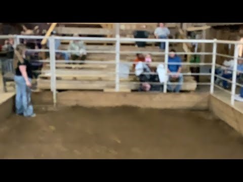 Elkhart Horse Auctions is live!