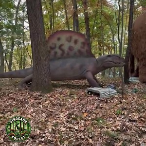 🦖 𝗧𝗛𝗜𝗦 𝗪𝗞𝗡𝗗: 𝗡𝗢𝗩 𝟴 & 𝟵 🦖 They’re Coming Back to Life... 𝗗𝗜𝗡𝗢𝗦𝗔𝗨𝗥 𝗙𝗢𝗥𝗘𝗦𝗧! 🌿 Walk through a glowing forest filled with 100 life-sized, roaring dinosaurs, and discover the Ice Age Experience and Dragon’s Den Finale. This fall, your imagination becomes reality! 📍 Oakland County Sportsmen’s Club | Clarkston, MI 🎟️ Only $9.99 per person 😃 Open November 1 & 2 👉 DinosaurForest.com | Dinosaur Forest