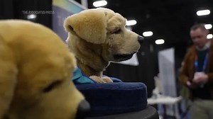 AI gadgets galore at CES 2025 in Las Vegas