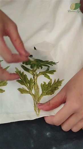 Sayur bayam dimasak rebus Pinjam dulu seratus🤫🙏 . . . Untuk kelas on...