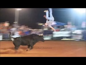 WHEN BULLS FIGHT BACK!!!