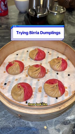 Trying Birria Dumplings! @PARADISE DYNASTY 🥟 @Palma #birriadumplings #paradisedynasty #burritoslapalma #asianfusion #glendale