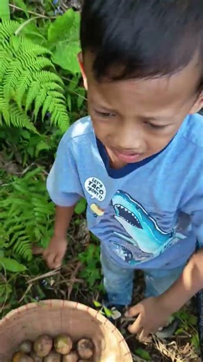 Panen guys #shorts #gunung #fypyoutube