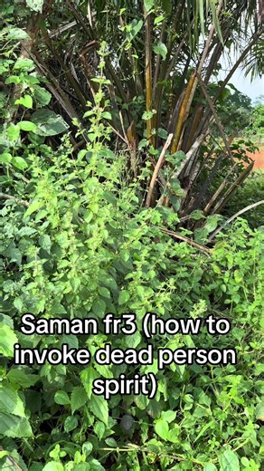 Saman Fr3: Invoking the Spirit of a Deceased Person