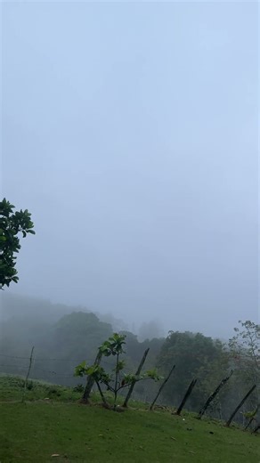 Amaneció como frío