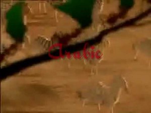 Circle Of Life Multilanguage 1 - The Lion King