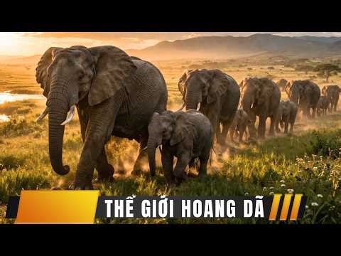 Những Hành Trình Phi Thường Trong Thế Giới Hoang Dã (Phần 2) | Thế Giới Động Vật