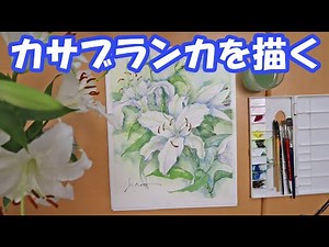 【透明水彩画】カサブランカを描く