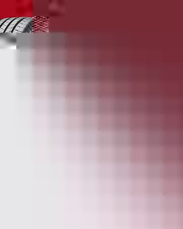 836 reactions · 40 shares | From Bridgestone to Pirelli, we know tires of all kinds. Discover our wide range of brands. | Canadian Tire | Facebook