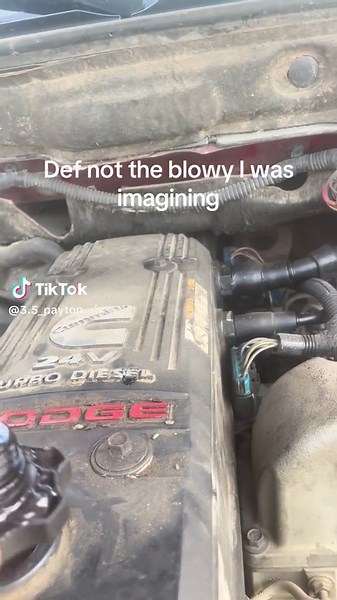 You will be seeing me on feetfindr