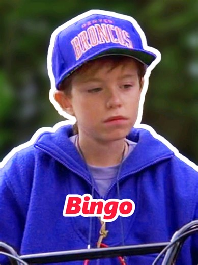 The Cleverness of Intelligent Dogs