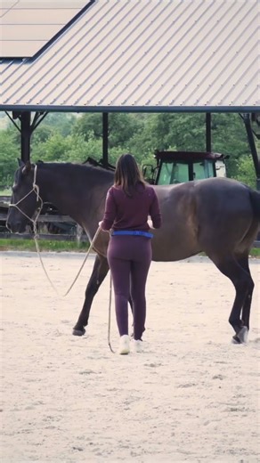 SAIS-TU FAIRE CET EXO ??? #cheval #horse #equestrian #dressage