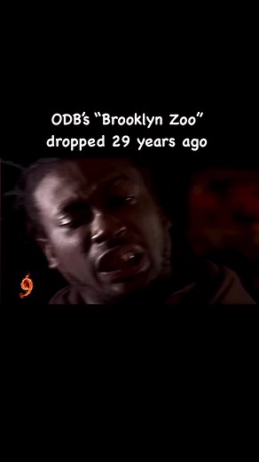 ODB’s debut solo single “Brooklyn Zoo” dropped on this day (2/3) in 1995....#odb #oldirtybasatrd #wutang #wutangclan #brooklynzoo #hbd #happybirthday #anniversary #classic #single #legend #emcee #rapper #rappers #realhiphop #rap #hiphop #music #t9e #reels #reelsfb #fyp #fypシ #fypage #fypageシ #parati #xyzcba #foryou #foryoupage #foryourpage | The9elements