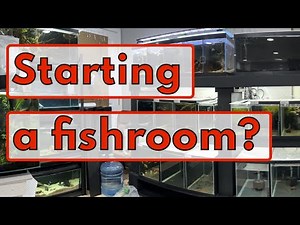 Tips on building a fishroom