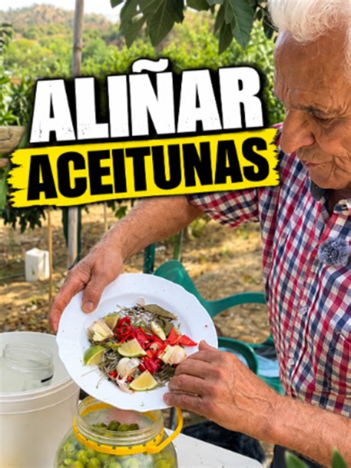 Cómo aliñar aceitunas de manera tradicional paso a paso