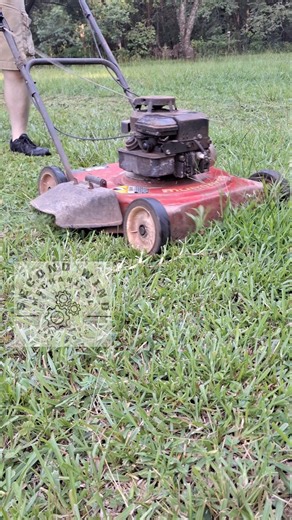 1991 Murray 20 with a 3.5hp Briggs and Stratton #mower #briggsandstratton #shorts