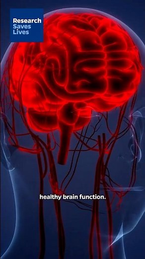Decoding the Blood-Brain Barrier: A New Pathway for Treatment