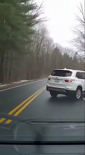 Wild Deer Collides With SUV on Two-Lane Road