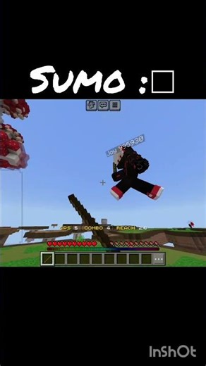 ZEQA SUMO #minecraft #gaming
