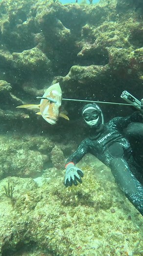 Spearfishing for Dog Snapper | Ryan Myers