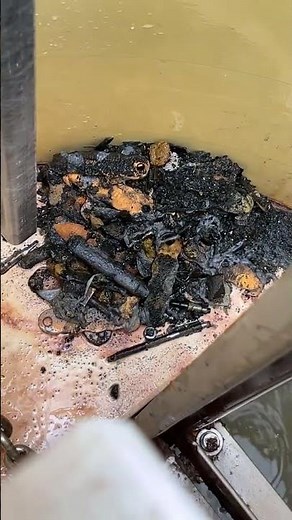 Clog at the muffin monster sewage grinder