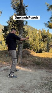 One Inch Punch Bruce Lee Style 1 Inch Punch #martialarts #selfdefense #kickboxing #kravmaga #karatetraining #military #muaythai #brucelee | Fist of Monk