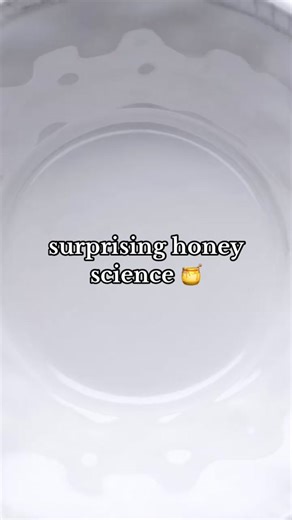 I wonder what else honey can remember? 🐝🍯 #blossom #honey #foodexperiments #scienceexperiments #athomeexperiments #scienceexperimentsforkids #geneticmemory #naturalscience