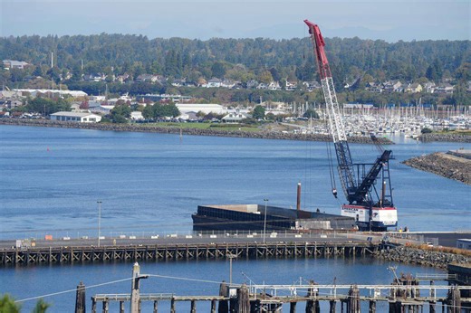 Election: Whatcom County voters to decide on Port race, commission size