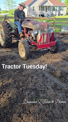 It's Tractor Tuesday! More fun facts about n-series tractors! The 9n and 2n tractors have 3 speed transmissions (plus reverse) while the 8n tractors upgraded to a 4 speed plus reverse transmission. You don't shift gears while driving the tractors like you do in a car, you pick how fast you want to do your task and set that gear. Most of the work we've done in the pastures and ditch are done in 1st year, but we use 2nd and 3rd to move around the property! . . . . . Tags: #TractorTuesday #tractor 