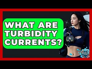 What Are Turbidity Currents? - The Marine Life Explorer