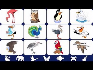 Old MacDonald had a Farm with Video Touch by SoundTouch Interactive LTD