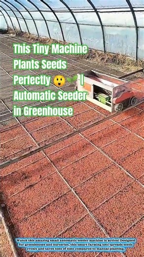 This Tiny Machine Plants Seeds Perfectly 😲🌱 | Automatic Seeder in Greenhouse#farming #short