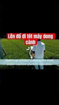 Lên đồ tét máy dong cành Ochiai như nào