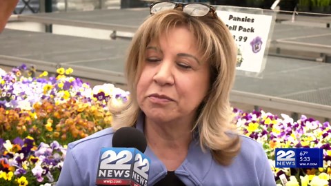 Spring arrives with warm weather, ideal for planting