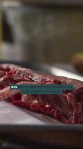 Responsible red meat, straight from Hawaiʻi. Maui Nui Venison products are wild-harvested in the dark to minimize stress on the axis deer and to meet strict USDA standards. A thoughtful, nutritious choice that supports the shared health of both people and place - try Maui Nui today and taste the wild difference. | Maui Nui Venison
