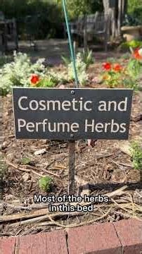 These Flowers Are Beautiful Additions to Your Home Garden
