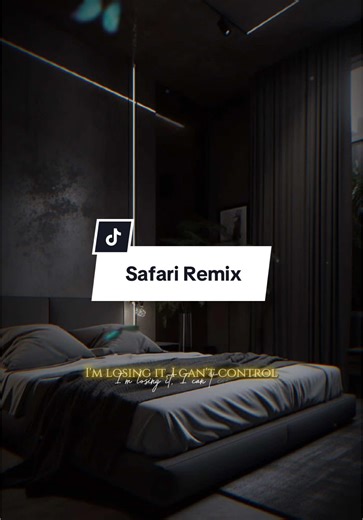 Safari Remix - Exciting Music Video Mashup