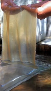 57K views · 889 reactions | The Root That Tastes Like Fish: Uncovering the Secret of Yuxingcao 狼 Yuxingcao (Fishy-smell herb) has a flavor profile unlike any other! This video honors the hard work of harvesting the Houttuynia roots by hand, which are prized not only for their taste but also their traditional wellness properties. See the simple farming life that produces this rare ingredient. | Natural Life | Facebook