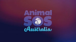 Australia SOS Animals trailer