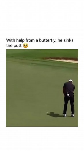129K views · 10K reactions | "Go get it butterfly!" 曆 ....That butterfly is a better golfer than I am. Golfer is Brooks Koepka and the announcer is Mike Tirico. | Bad Science Jokes | Facebook