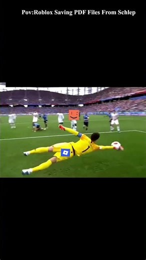 How Roblox Saves PDF Files from going to jail #roblox #robloxshorts #memes #foryou #schlep #funny