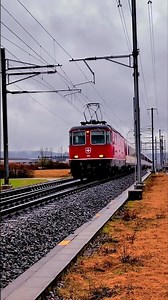 IC4️⃣ Zürich HB-Singen #intercitytrain #trainspotting #shortvideo #fasttrains #shorts #sbbcffffs