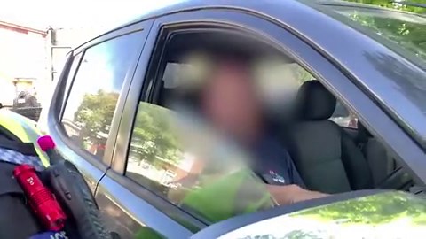 Questions over how cow found in bloody trailer outside slaughterhouse