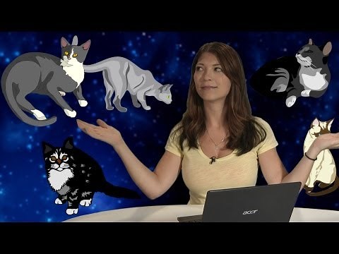 HakTip - Linux Terminal 101: Using CAT with Standard Inputs