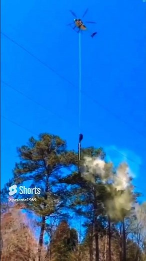 Helicopter Cutting Trees along the Powerlines with a Huge Chainsaw... #helicopter #shorts