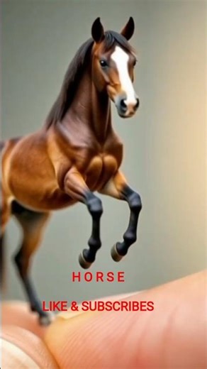 "The World's Smallest Horse? 🐎✨"#youtubeshorts #shorts #horse #1000subscriber #minianimals #1million